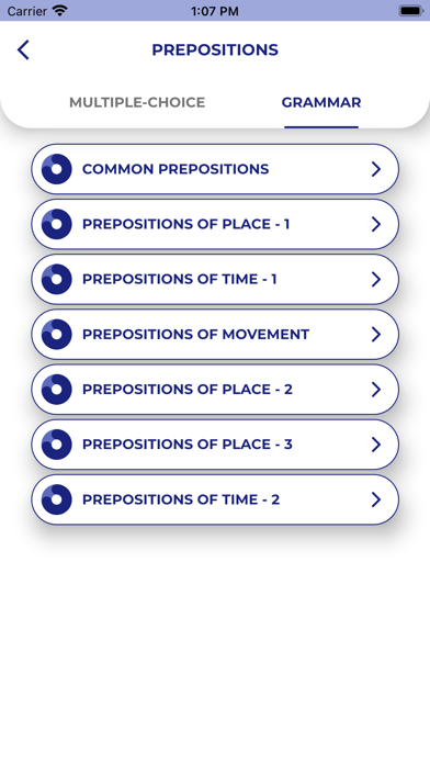 FRENCH GRAMMAR・Lessons & Tests Screenshot