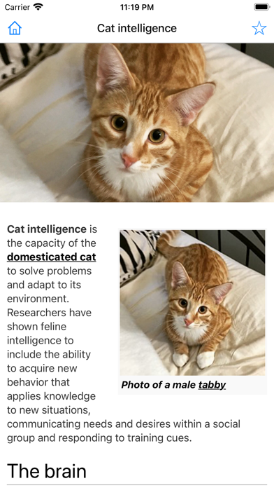 Encyclopedia of Cats Screenshot