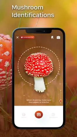Game screenshot Mushroom Identification ++ mod apk