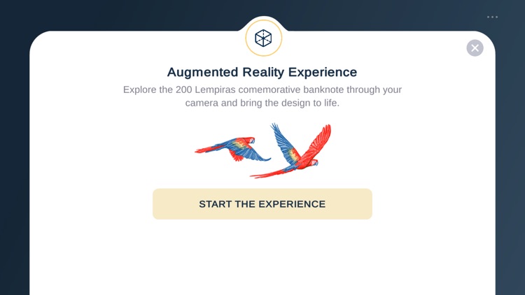BCH Lempiras screenshot-6