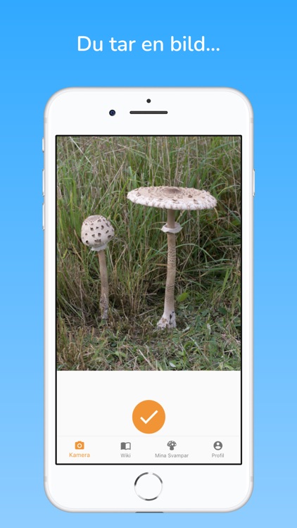 fungai - svampguide med AI