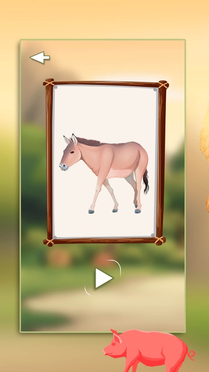 Animal Sounds – Guessing Game screenshot-3