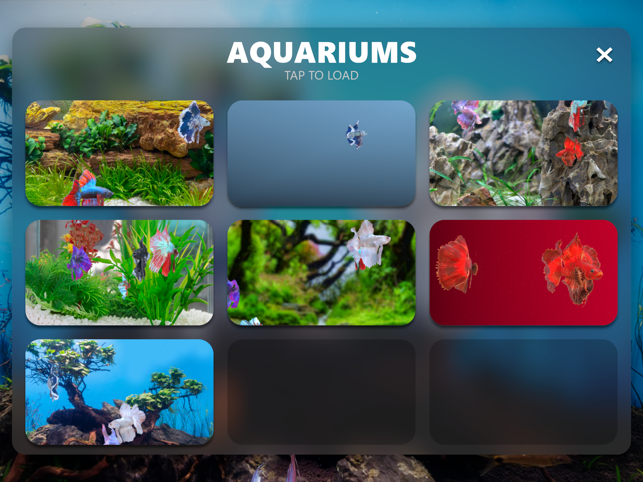 ‎Betta Fish - Virtual Aquarium Screenshot