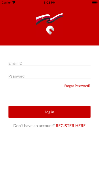 Clicks Egypt Business Screenshot