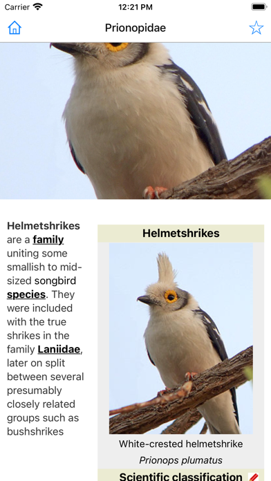 Encyclopedia of Birds Screenshot