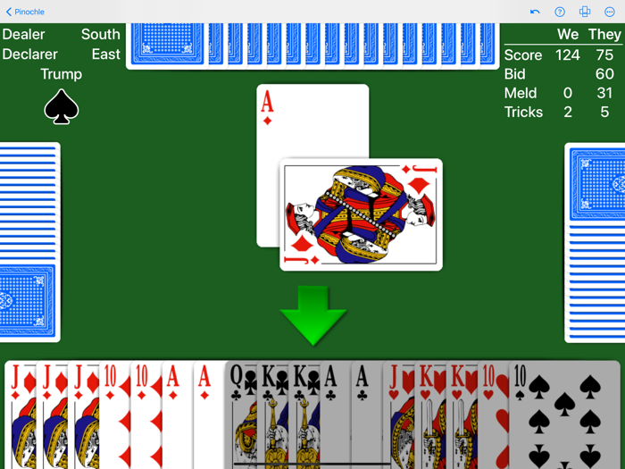 Pinochle - Expert AI