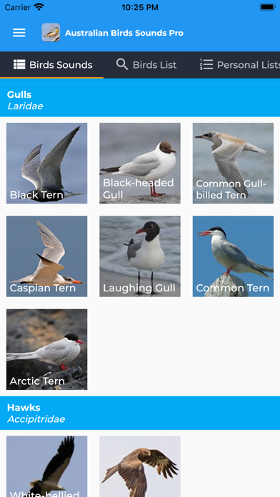 Australian Birds Sounds Pro Screenshot