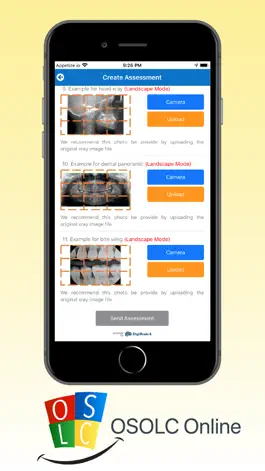 Game screenshot OSOLC Online hack