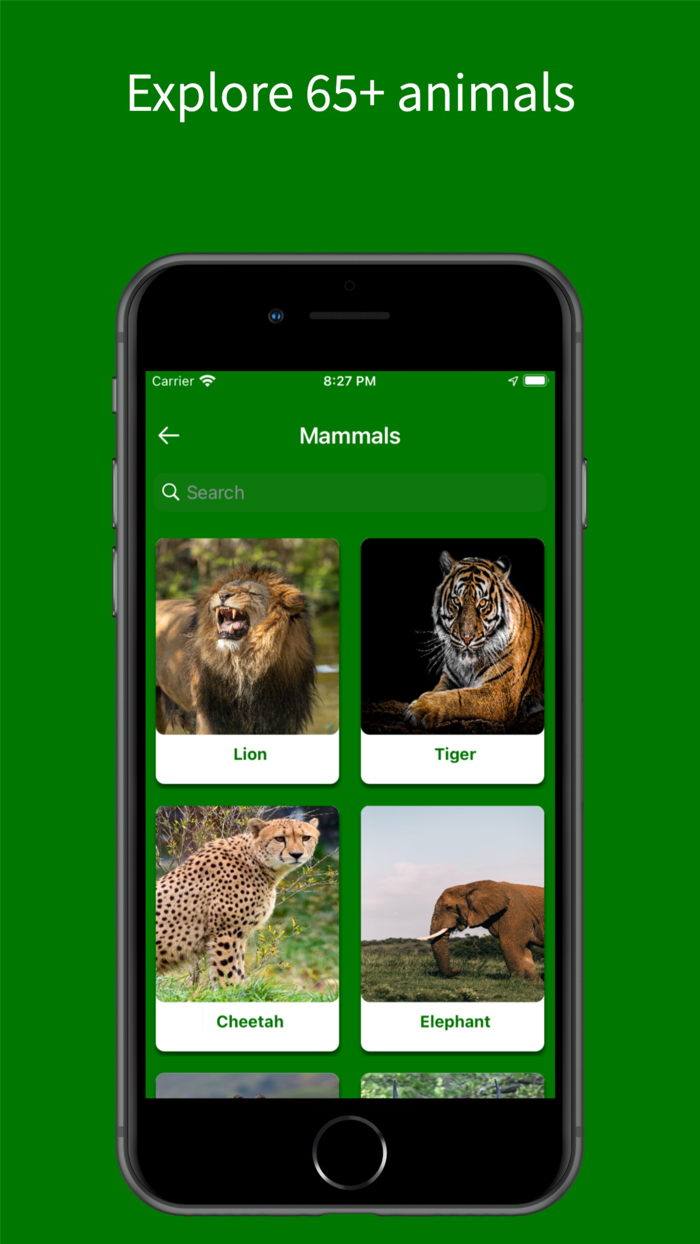 Virtual Jungle Safari