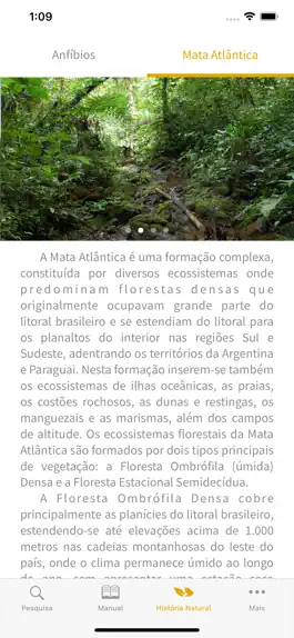 Game screenshot Anfíbios da Mata Atlântica hack