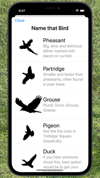 Find My Peg Screenshot