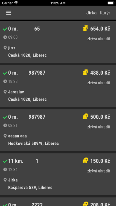 RESTIA Cargo Screenshot
