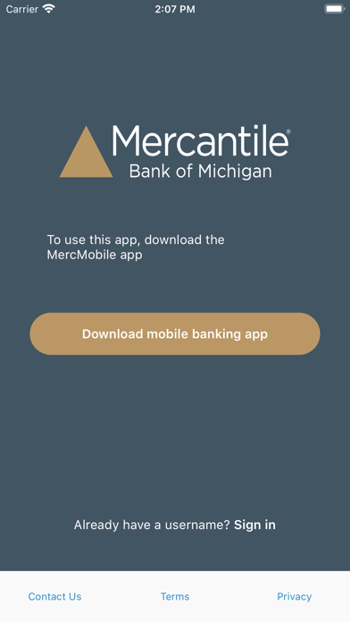 MercDebit Screenshot