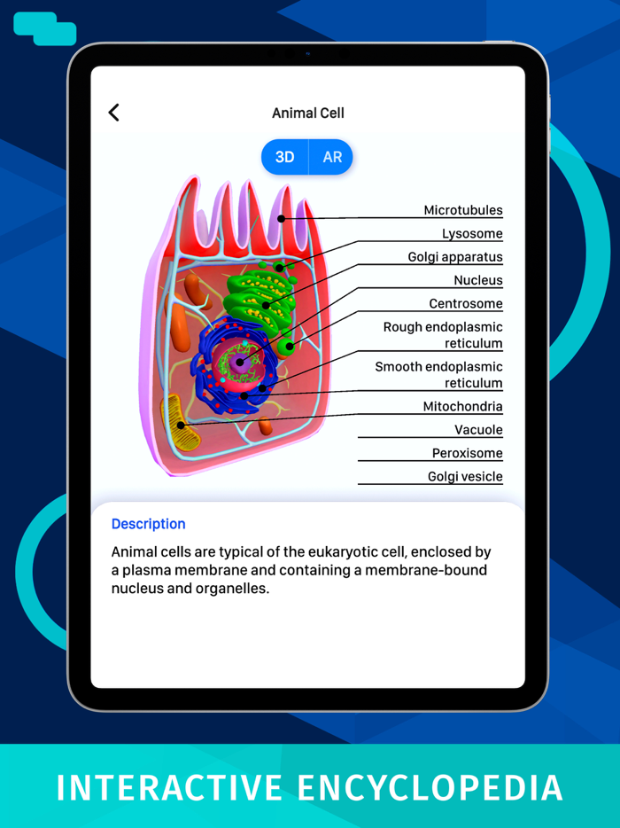 Bacteria AR Zoom Cell Anatomy