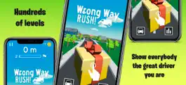 Game screenshot Wrong Way RUSH! mod apk