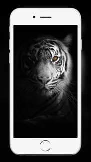 lion wallpaper and backgrounds iphone screenshot 1