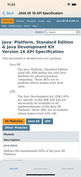 Game screenshot Java SE 16 API Specification hack