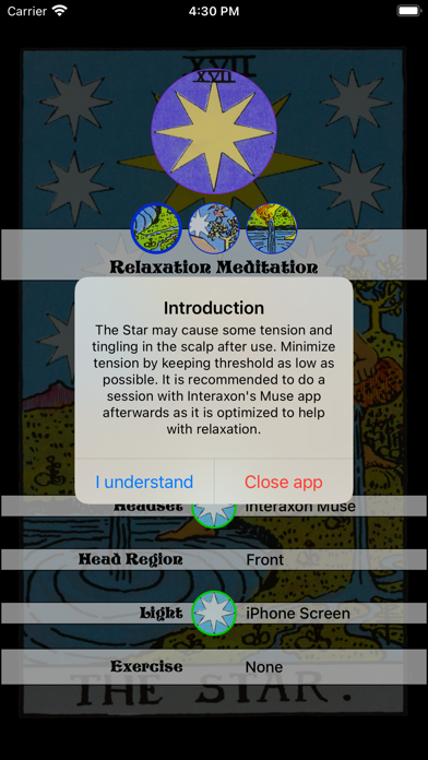 The Star (XVII) Screenshot