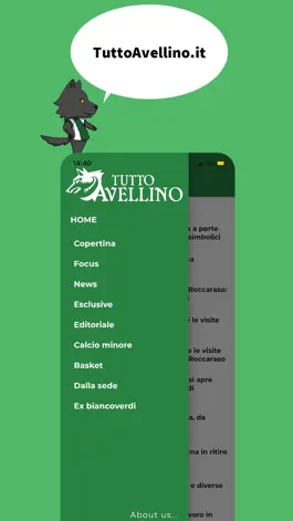 Game screenshot Tutto Avellino hack