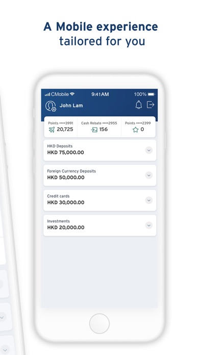 Citibank HK Screenshot