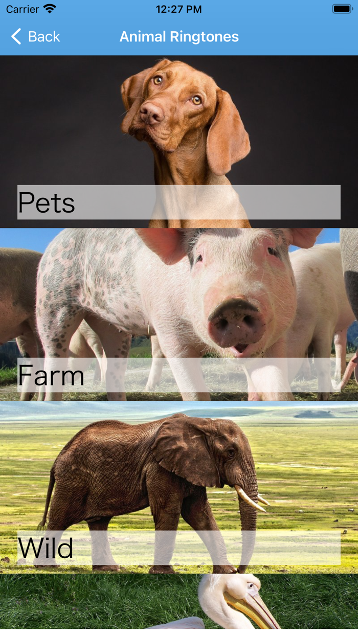 Funny Animal Ringtones Sounds