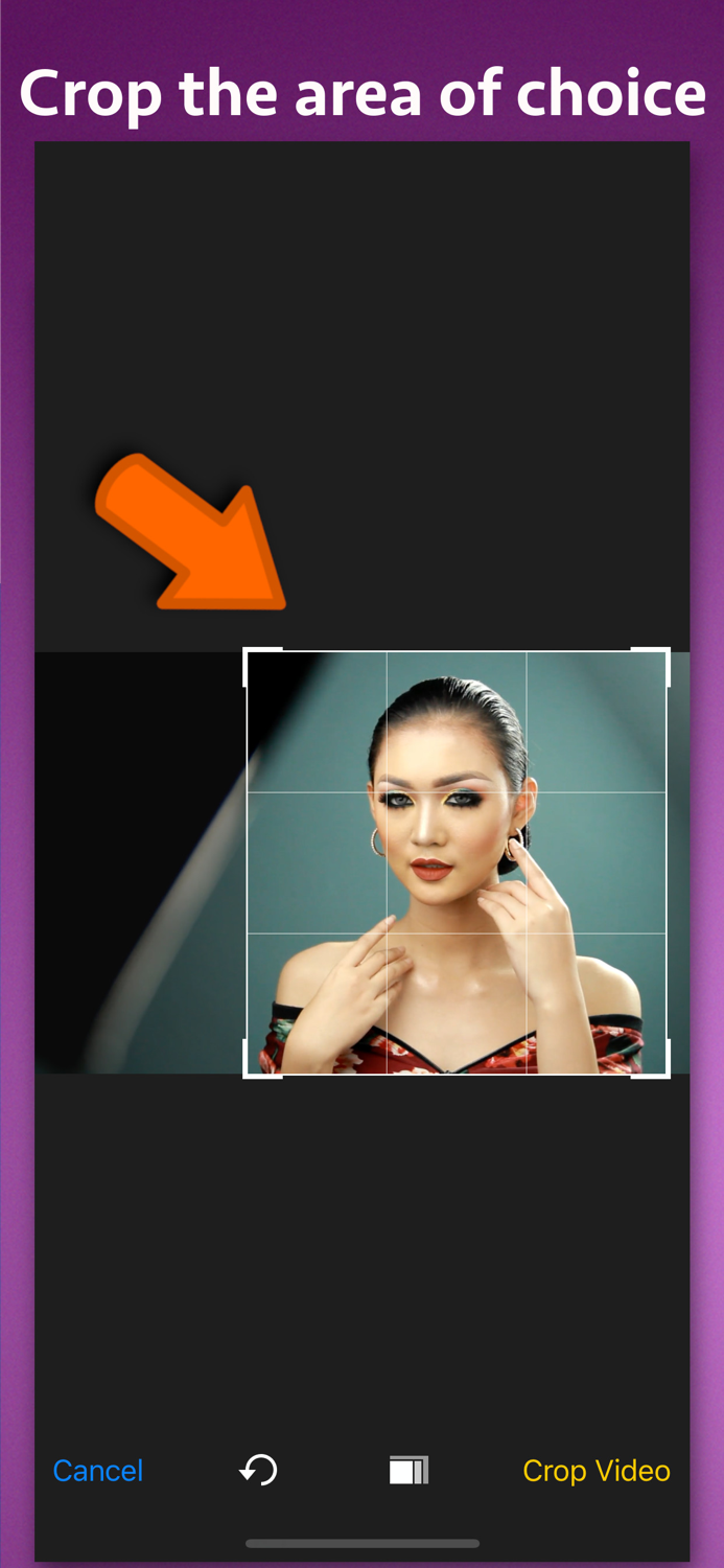 Video Cropper Premium