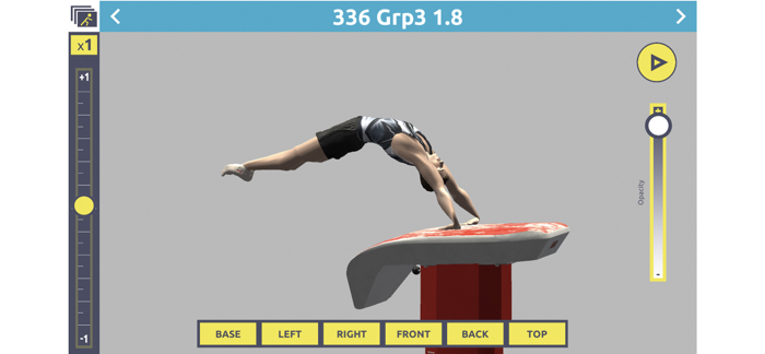 3D Gym Men - FB Curves