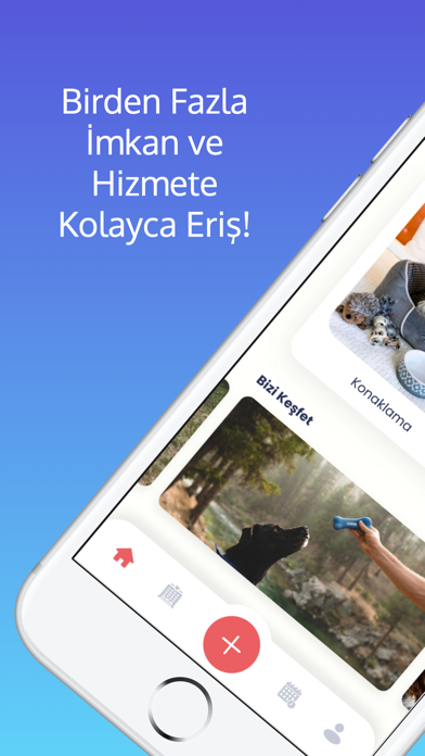 Klea Family - Köpek Oteli Screenshot