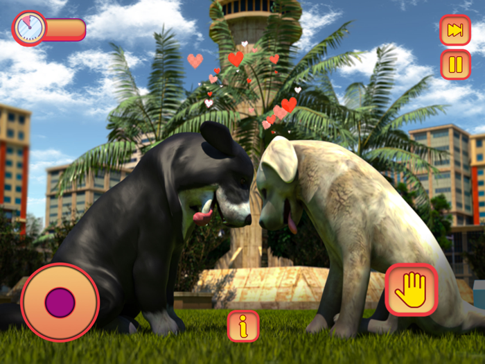 Pregnant Dog Pet CareMy Puppy