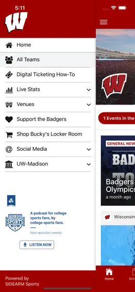 Game screenshot Wisconsin Badgers apk