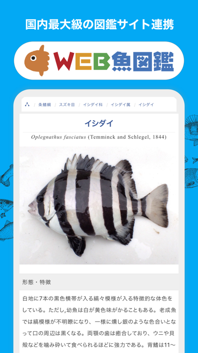 魚みっけのおすすめ画像3