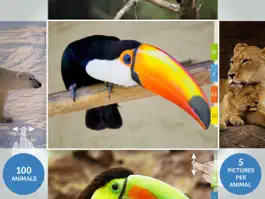 Game screenshot Animals 100 apk