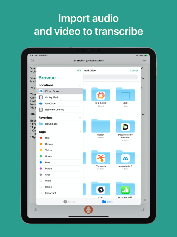 Voice Transcriber - Dictation