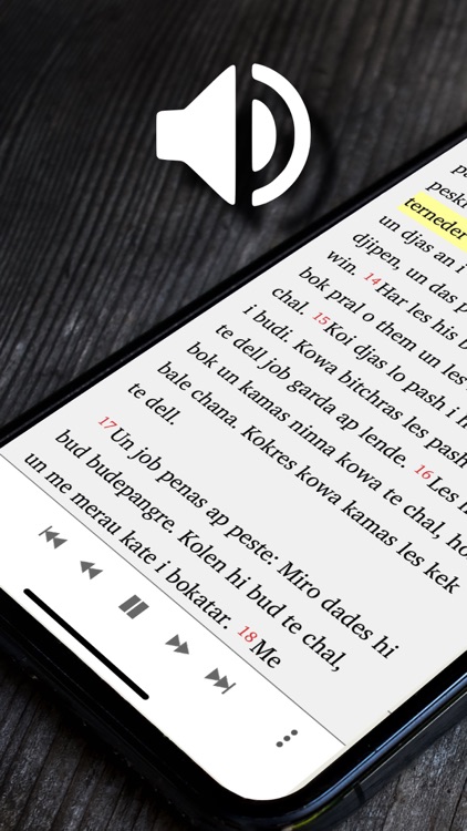 Bibel in Sinti-Romanes