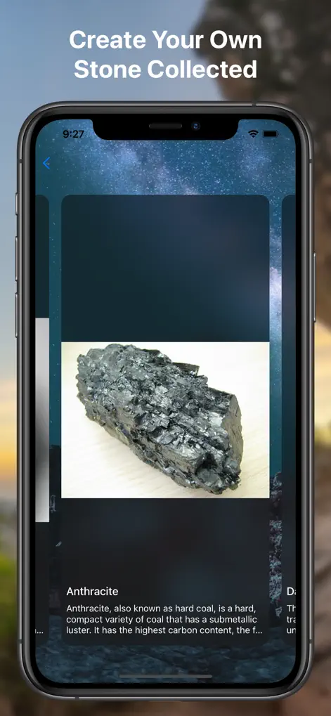 Rock Identifier Stone Finder - Education App | MWM