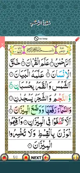 Game screenshot Surah Rahman with Sound apk