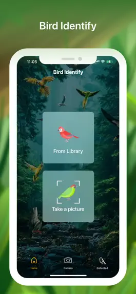 Game screenshot Bird identifier Bird Finder mod apk