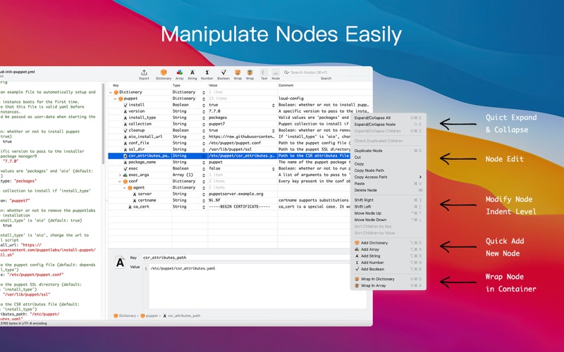 Screenshot #2 pour Power YAML Editor