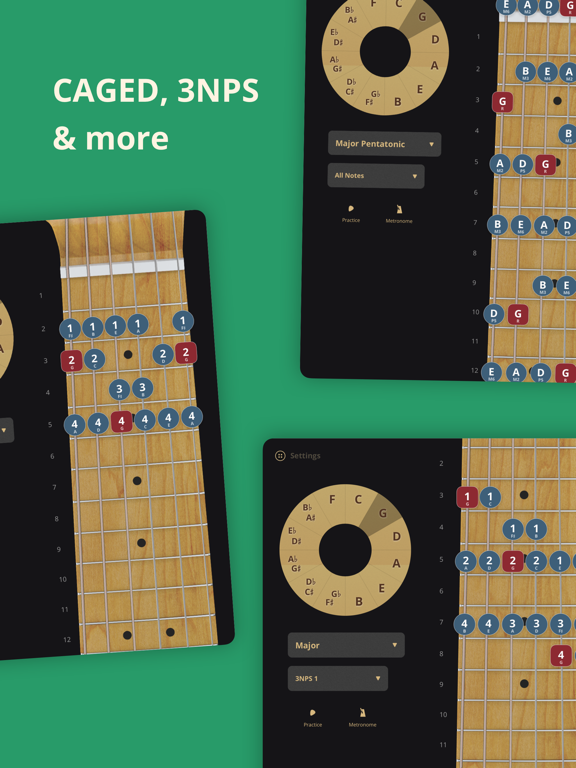 Screenshot #6 pour ScaleBank: Guitar Scales