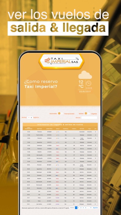 Taxi Imperial Viajero Screenshot