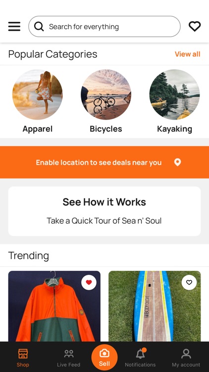SEA n' SOUL screenshot-3