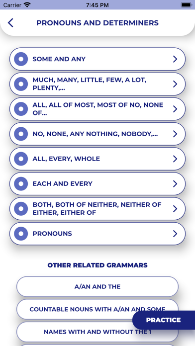 PORO - English Grammar Screenshot