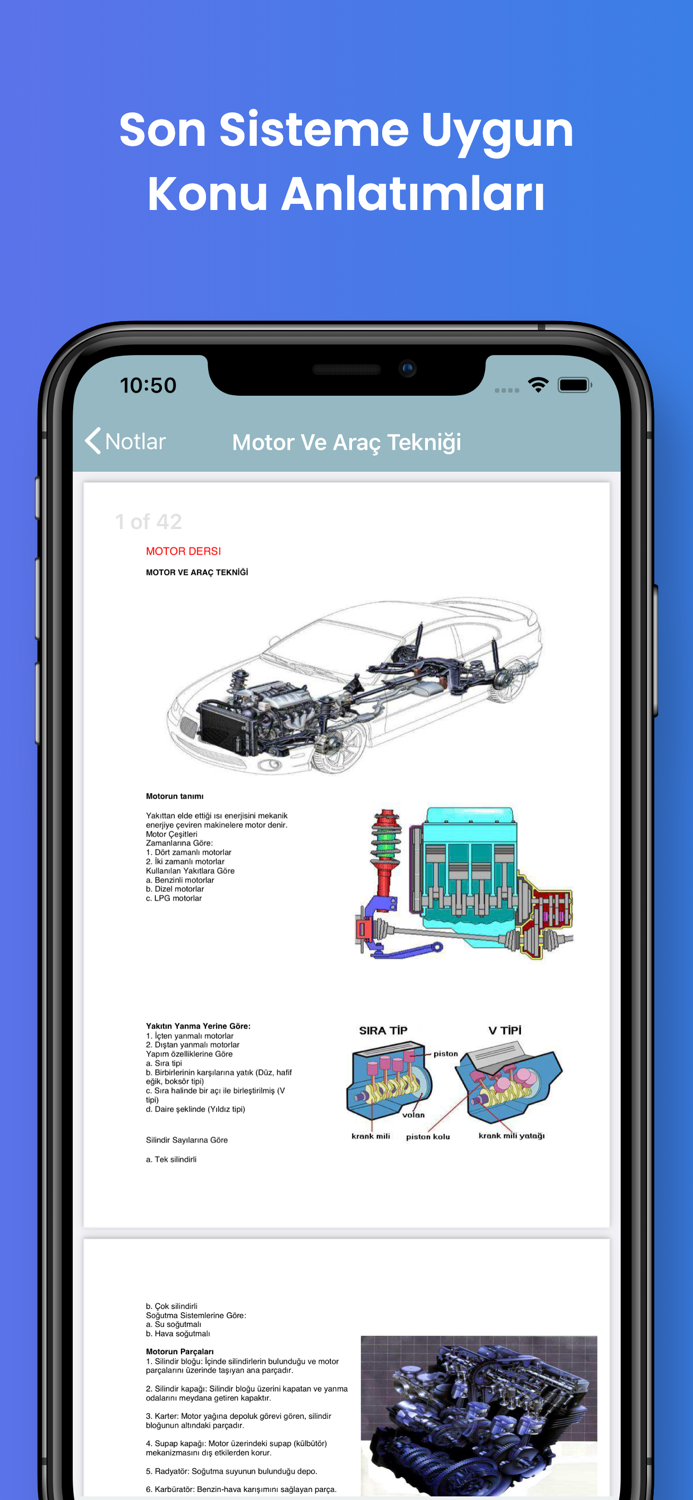 Questions for Driving License