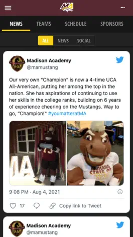 Game screenshot Madison Academy Mustangs hack
