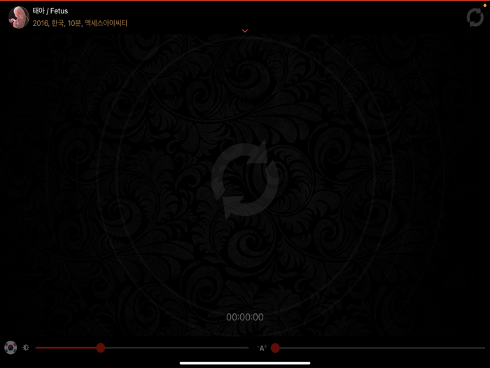 배리어프리 - 부산국제영화제