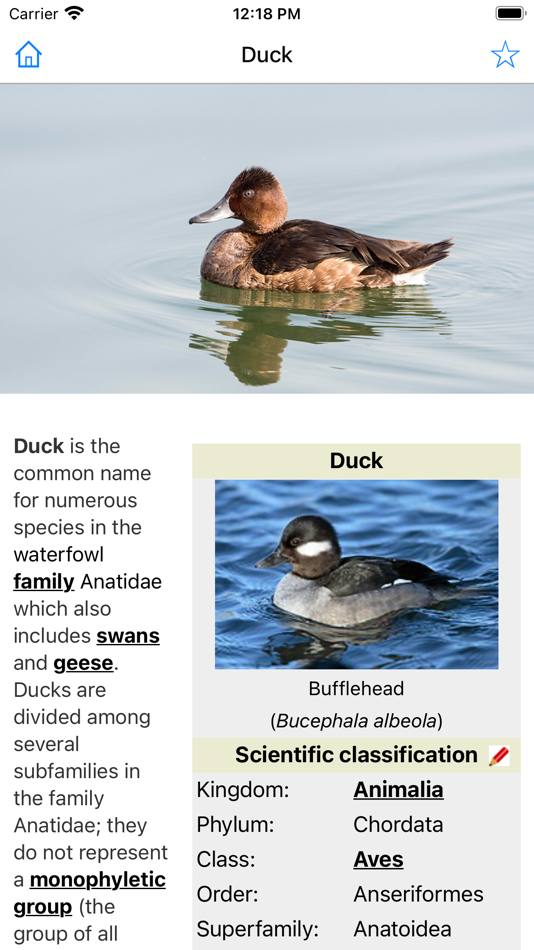 #4. Encyclopedia of Animals (iOS) Podle: Good Spider, LLC