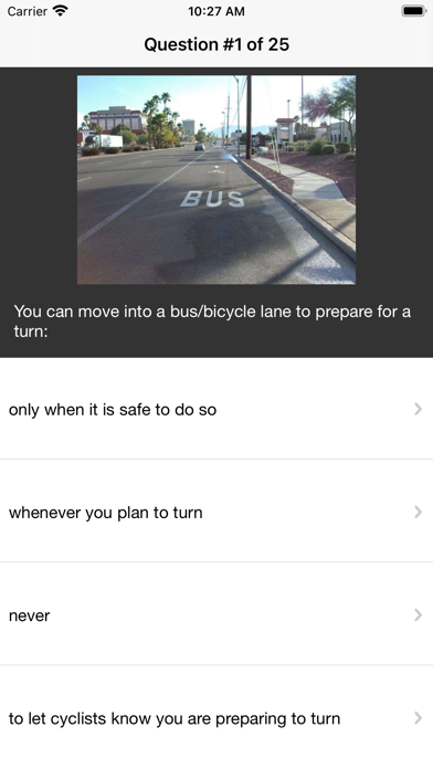 NM Practice Driving Test Screenshot