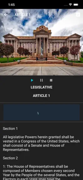 Game screenshot US Consti apk