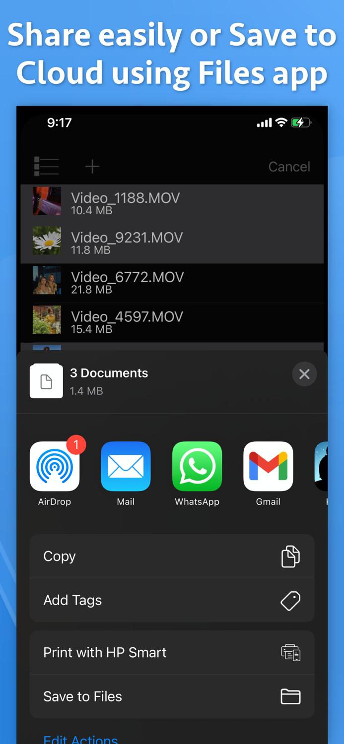 Video to Audio Extractor