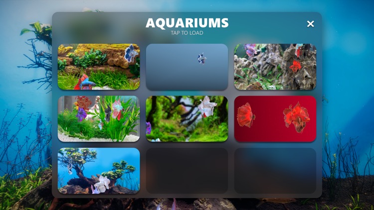 Betta Fish - Virtual Aquarium screenshot-5